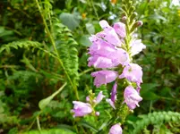 P1020806.webp