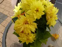 P1020826.webp