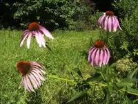 BILD1689.webp