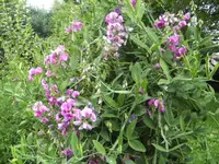 BILD1630.webp