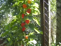 BILD1687.webp