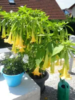 DSCN0814.webp