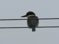 Copy (2) of IMG_2948.webp