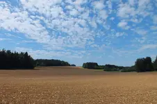 2012_0829Sommer0031.webp