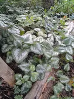 2012-08-25 14.20.36.webp