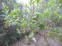 SAM_0769.webp