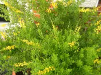 DSCF0257.webp