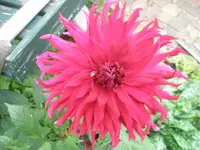 P1010205.webp