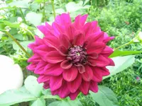 P1010219.webp