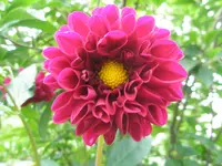 P1010220.webp