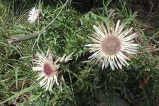 2012_0829Sommer0032.webp
