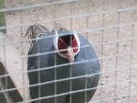 Bild 872.webp