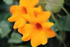 IMG_1210.webp