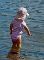 Schneerose1.webp