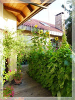 Winden.webp