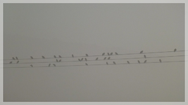 Spiel mir das Lied vom Herbst.webp