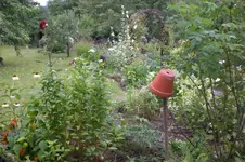 Garten 08 2012 008.webp