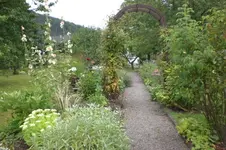 Garten 08 2012 009.webp