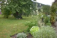 Garten 08 2012 010.webp