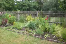 Garten 08 2012 012.webp