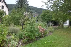 Garten 08 2012 015.webp
