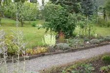 Garten 08 2012 017.webp
