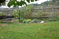 Garten 08 2012 021.webp