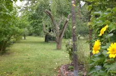 Garten 08 2012 023.webp