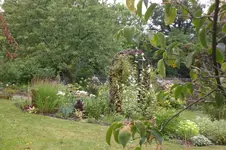 Garten 08 2012 025.webp