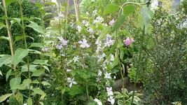 K800_1.9.2012 005.webp