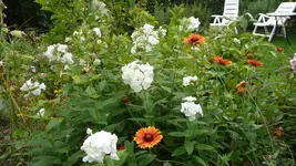 K800_1.9.2012 011.webp