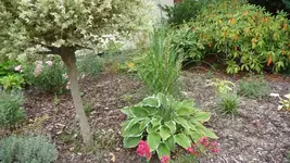 K800_1.9.2012 018.webp