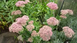 K800_1.9.2012 020.webp
