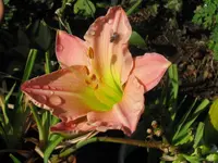 IMG_4140_1024x768.webp