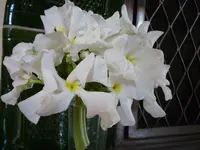 P1000824.webp