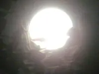 DSCF0286.webp