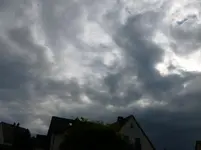 P1020911.webp