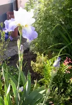 JD500465.webp