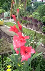 JD500634.webp