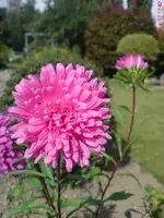 DSC00014.webp