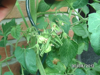 k-BILD1427.webp
