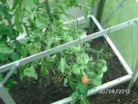 k-BILD1420.webp