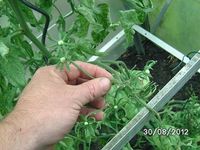k-BILD1421.webp