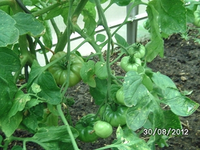k-BILD1422.webp