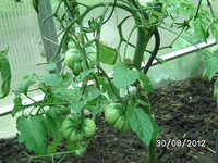 k-BILD1423.webp