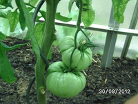 k-BILD1424.webp