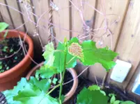Foto3.webp