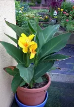 JD500633.webp