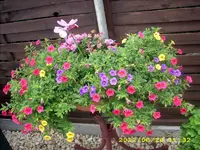 JD500843.webp