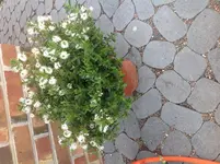 Foto Kopie 2.webp